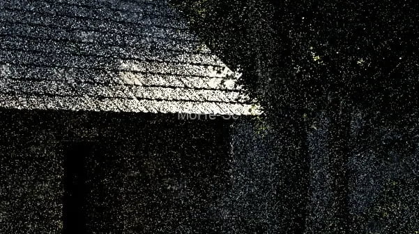 Corona Render -8.0 For 3dsmax 2014~2022 渲染器正式版发布+试用补丁 [2021-11-05更新版] -16