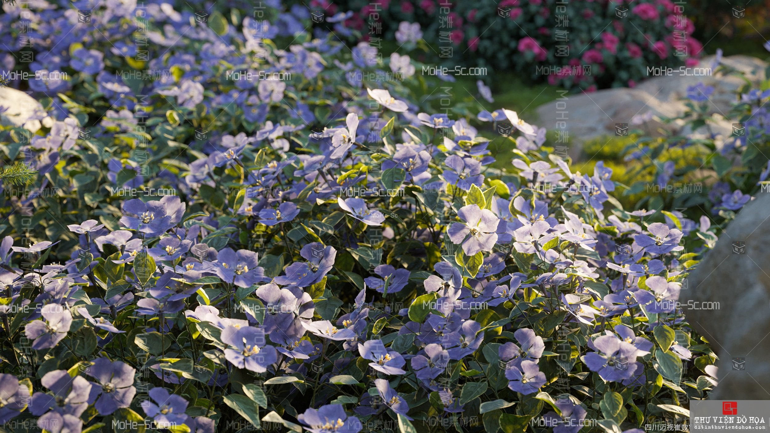 3DMAX植物模型库 Maxtree - Plants Models Vol. 86 – New 免费下载 -3