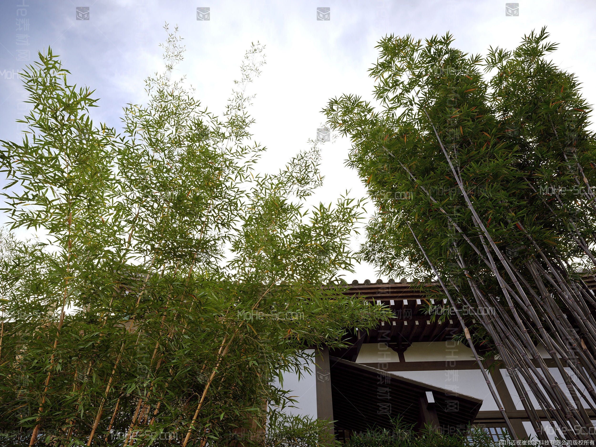 3DMAX植物模型库 Maxtree - Plants Models Vol. 90 免费下载 -1