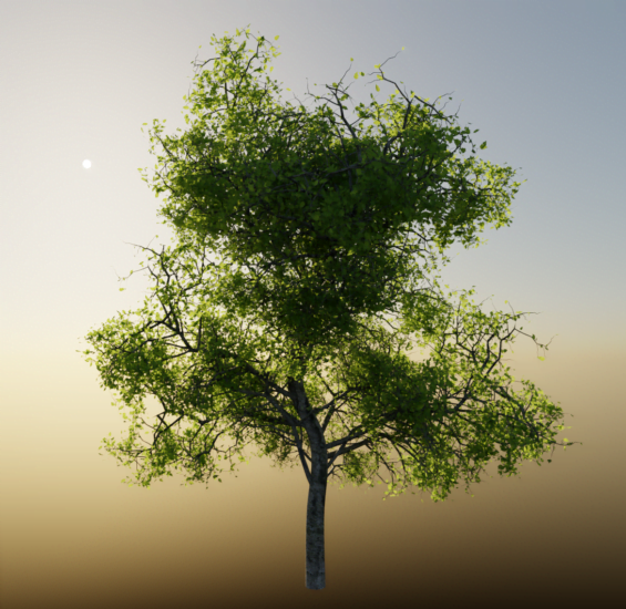 Blender树木植物生成插件 Tree Generator V2 For Blender 3.1~ 3.2-MOHE素材库-设计行业的乐园，各类素材的矿山！