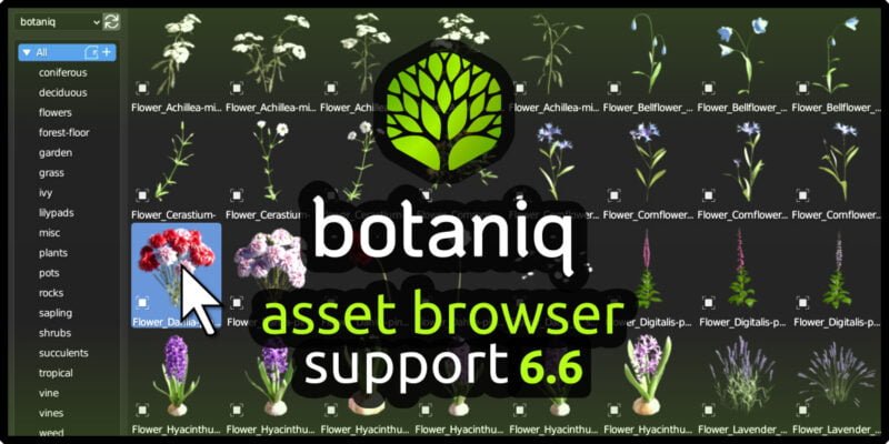 Blender植物树木草地模型预设 Botaniq Tree And Grass Library V6.6.1 For Blender 2.93~3.3-MOHE素材库-设计行业的乐园，各类素材的矿山！