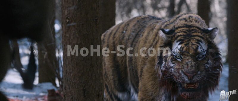 Maya毛发模拟插件 Peregrine Labs Yeti v4.2.4 Maya 2020/2022/2023 Win破解版-MOHE素材库-设计行业的乐园，各类素材的矿山！