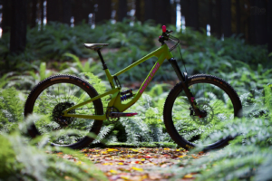 Itoo Forest Pack 7.4.20 森林插件 For 3DSMAX 2014 ~ 2023 汉化永久版-MOHE素材库-设计行业的乐园,各类素材的矿山!