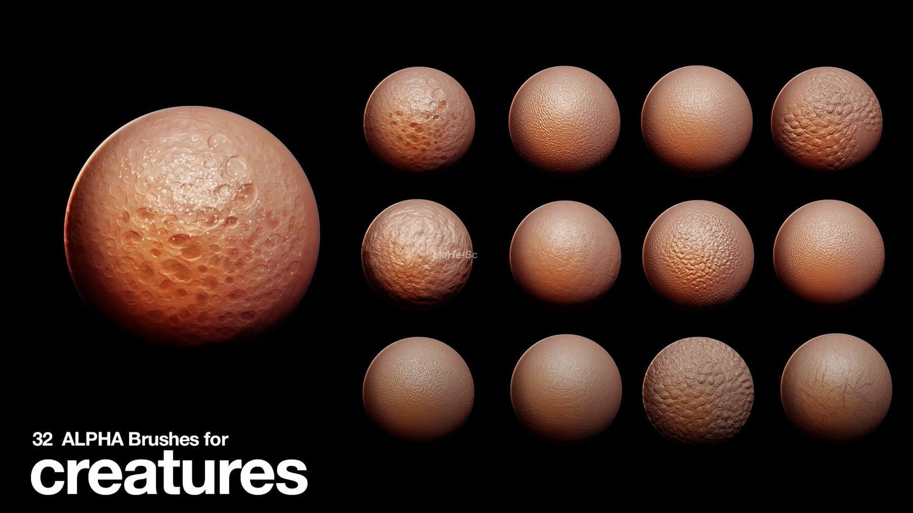 32套生物皮肤黑白深度图片笔刷 32 Alpha Brushes for Creatures -3 32套生物皮肤黑白深度图片笔刷 32 Alpha Brushes for Creatures -3