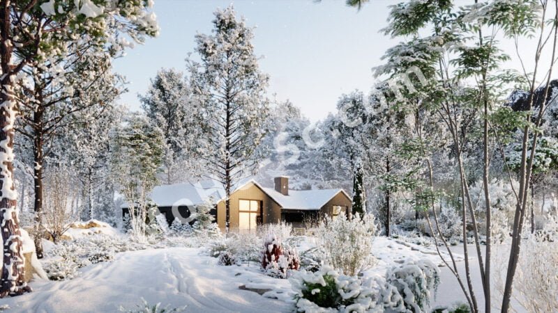 照片级冬季逼真3D植物模型Globe Plants – Bundle 35 – Winter Plants[15set]-MOHE素材库-设计行业的乐园，各类素材的矿山！