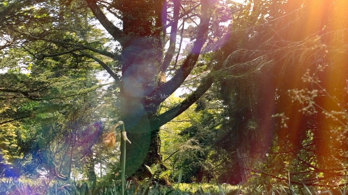 Blender镜头光斑光效插件 Flared V1.9.51 – Lens Flares In Blender For Blender 2.9+ -4