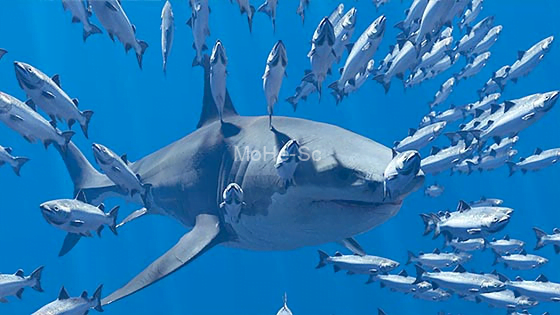 3ds Max流体动力学模拟插件 FumeFX 6.0.3 For 3ds Max 2019 ~ 2024 英文破解版 -14