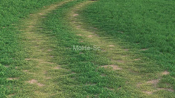 3ds Max流体动力学模拟插件 FumeFX 6.0.3 For 3ds Max 2019 ~ 2024 英文破解版 -32