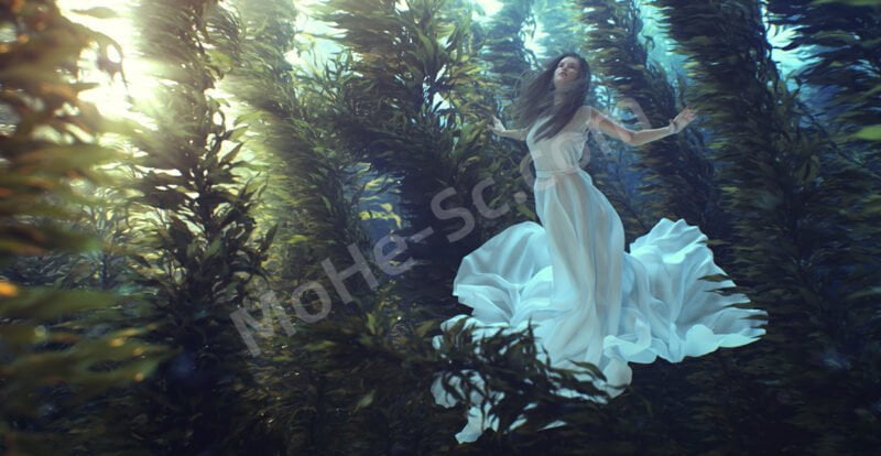 3DSMAX逼真树木植物生成与动画制作插件GrowFX V2.0.1 For 3DSMAX 2024 破解版-MOHE素材库-设计行业的乐园,各类素材的矿山!