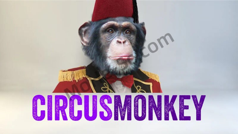 3D空间文字MG动画运动排版AE脚本 Aescripts CircusMonkey V1.08 For AE CC 2014~2023  Win/Mac-MOHE素材库-设计行业的乐园，各类素材的矿山！