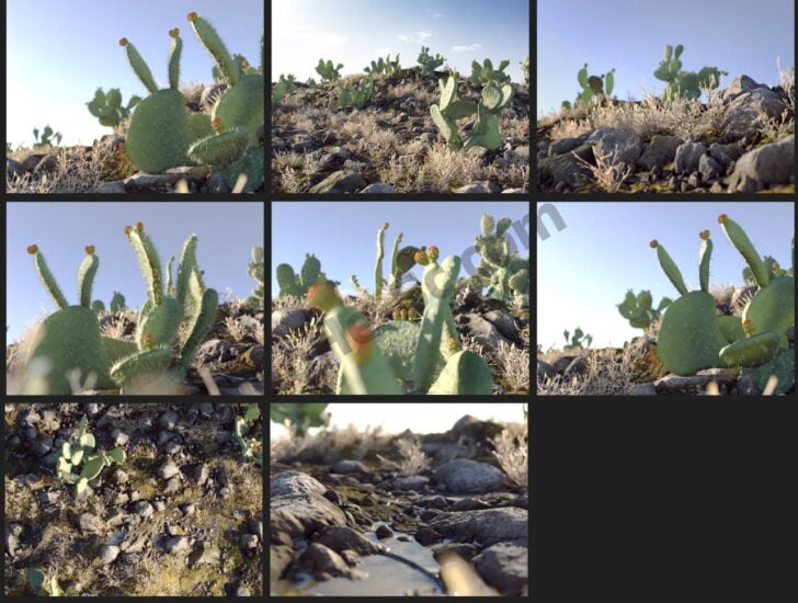 3DS MAX草地植物3D模型 Nouvelle Mesure Lab – Apache Desert Pack 沙漠戈壁仙人掌-MOHE素材库-设计行业的乐园，各类素材的矿山！