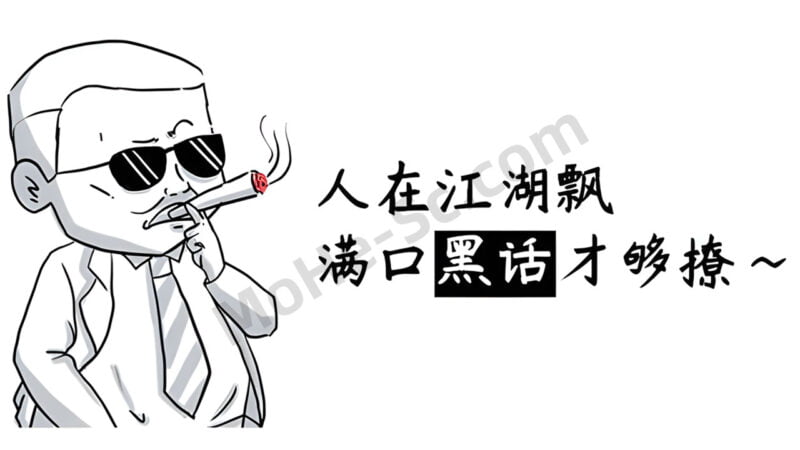 VPS服务器圈子里的 黑话宝典 日常用语名词注解 小白快速入门 持续更新……-MOHE素材库-设计行业的乐园，各类素材的矿山！