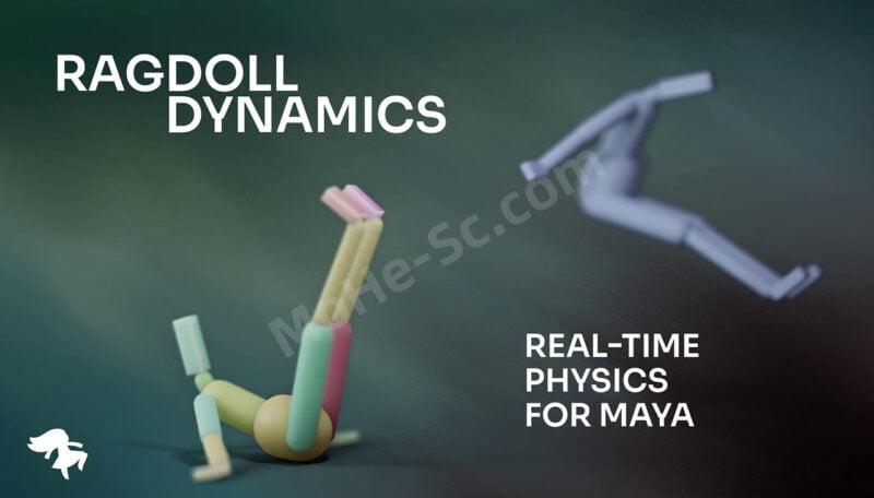 Maya实时物理解算器插件 Ragdoll Dynamics Unlimited V2024 For Maya 2019 ~ 2024-MOHE素材库-设计行业的乐园，各类素材的矿山！