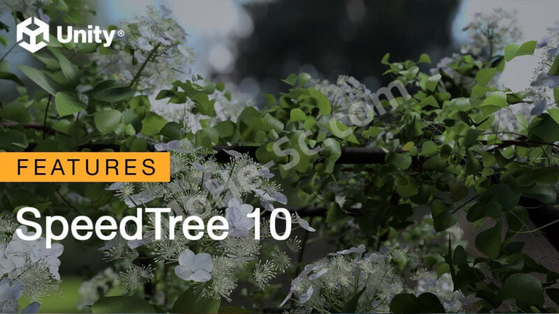 SpeedTree Modeler V10.0.0 终极三维植物植被树木生长建模软件-MOHE素材库-设计行业的乐园,各类素材的矿山!