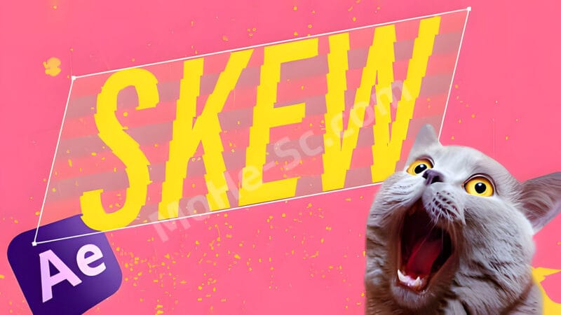 AE图层位置排列脚本 Skew Pro v2.0.1 For After Effects 2022+-MOHE素材库-设计行业的乐园，各类素材的矿山！