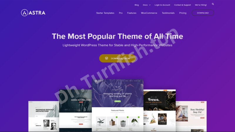 Astra V4.8.2-最受欢迎、快速、轻便且可定制的WordPress主题 适合博客、个人作品集、商业网站和WooCommerce店面-MOHE素材库-设计行业的乐园,各类素材的矿山!