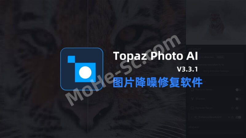 Topaz Photo AI v3.3.1 Stable Portable 智能图片降噪软件 AI填充、AI扩图、高清修复 英文便携版-MOHE素材库-设计行业的乐园,各类素材的矿山!