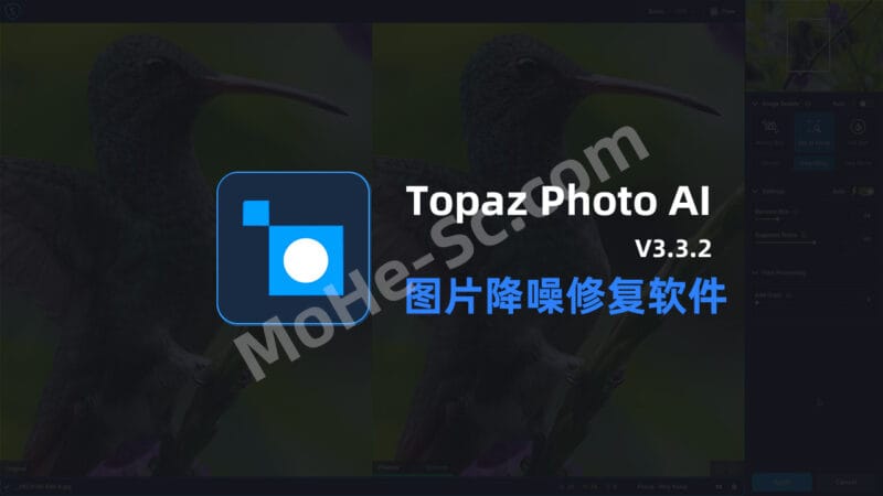 Topaz Photo AI v3.3.2 Beta Portable 智能图片降噪软件 AI填充、AI扩图、高清修复 英文便携版-MOHE素材库-设计行业的乐园，各类素材的矿山！