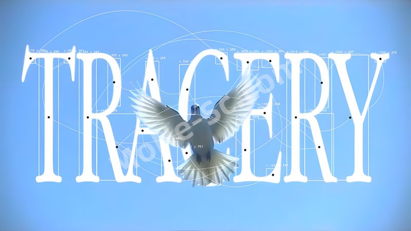 AE基于颜色对象追踪插件 Tracery V1.0 For After Effects CC 2014 +-MOHE素材库-设计行业的乐园,各类素材的矿山!
