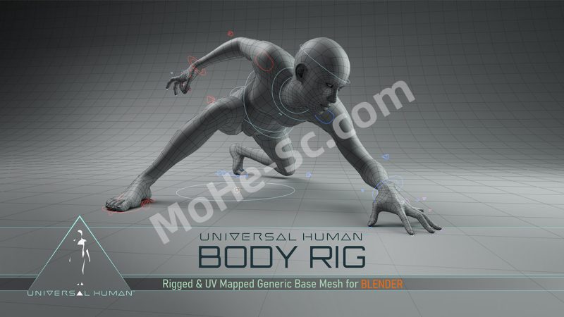 Blender角色身体面部绑定插件 Universal Human Body & Face Rig v3.1.0 For Blender 2.79 +-MOHE素材库-设计行业的乐园,各类素材的矿山!
