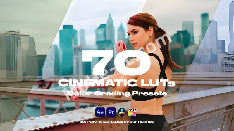Envato Cinematic LUTs Vol.1 70个电影大片LUT调色预设-MOHE素材库-设计行业的乐园,各类素材的矿山!