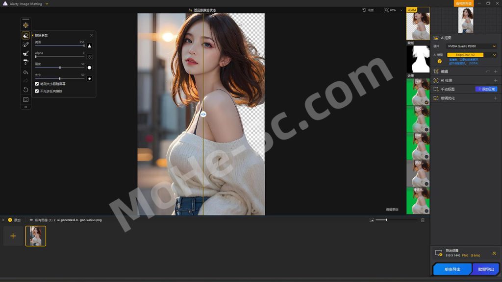Aiarty Image Matting v2.5 最先进的基于 AI 的图像抠图软件，细节完美，像素级抠图，本地部署使用，隐私保护，适配老旧电脑 附激活密钥 [ 官方限免 ]