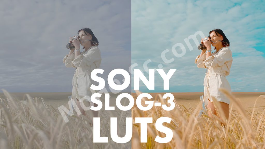 21款Sony Slog 3电影风格还原人物肤色LUTs视频调色预设 Alexandru Don – SONY SLOG 3 LUTS – SKINTONE EDITION