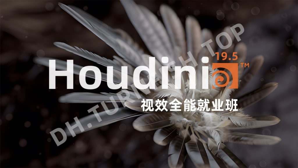 视效魔法Houdini19.5视效全能就业班 + Houdini18.5全能就业班